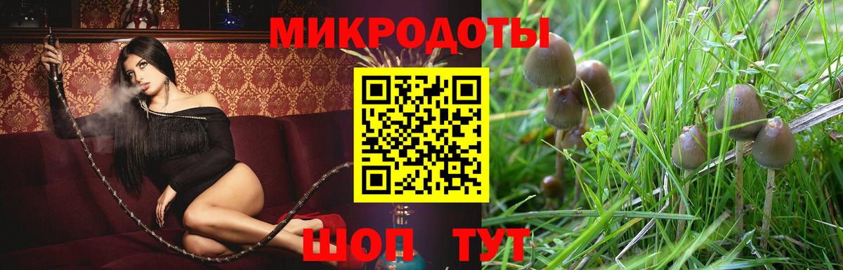 Галлюциногенные грибы Cubensis  Вход с VPN  Саяногорск 