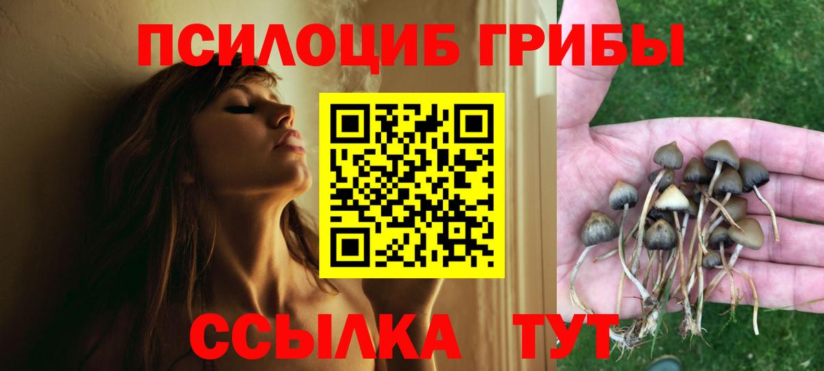 Псилоцибиновые грибы ЛСД Саяногорск